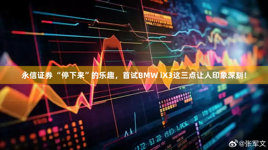 永信证券 “停下来”的乐趣，首试BMW iX3这三点让人印象深刻！