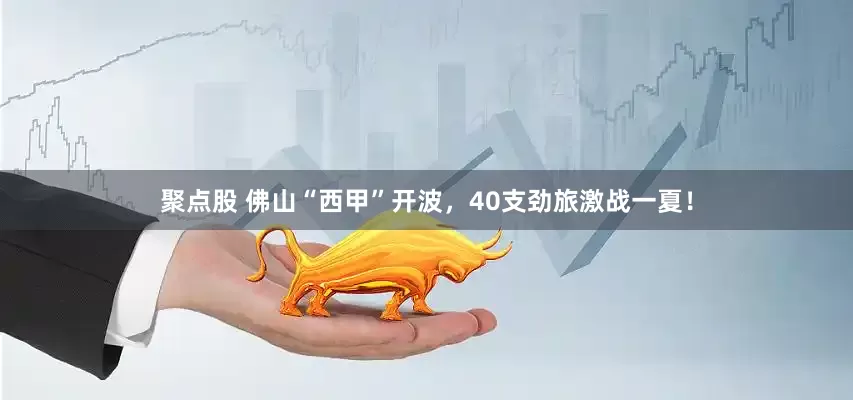 聚点股 佛山“西甲”开波，40支劲旅激战一夏！