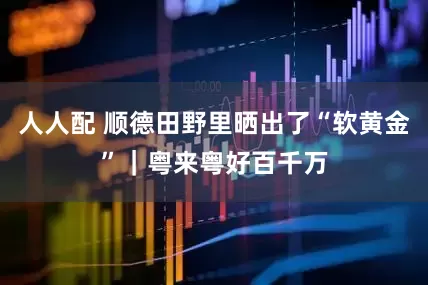 人人配 顺德田野里晒出了“软黄金”｜粤来粤好百千万